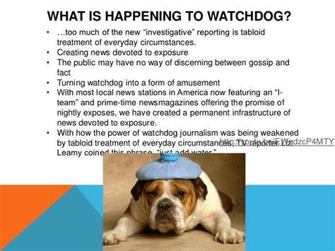 The Australian's Media Supplement: A Lapdog, a Watchdog, an .